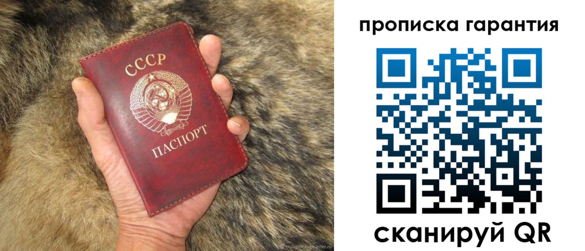 прописка паспорт в Стародубе